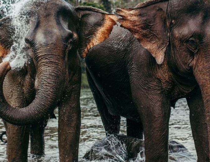 DISCOVER LAOS TOGETHER: A 10-DAY FAMILY JOURNEY