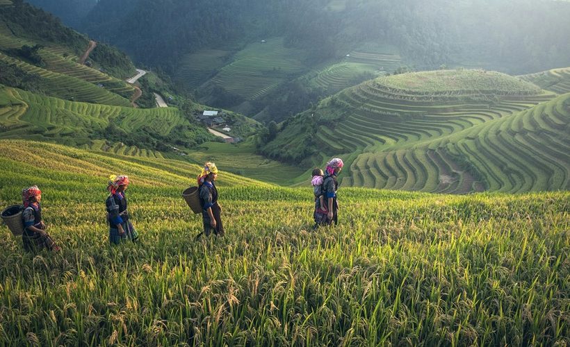 6D5N Hanoi - Halong Bay - Sapa & Fansipan trip.