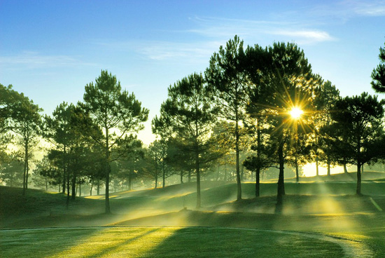 Hochiminh airport – Mui Ne – Dalat – Hochiminh city 5D4N